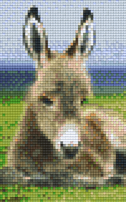 Pixel hobby classic set - donkey