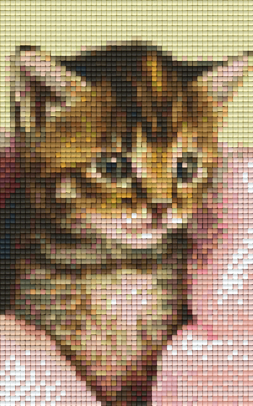 Pixel hobby classic template - kitten