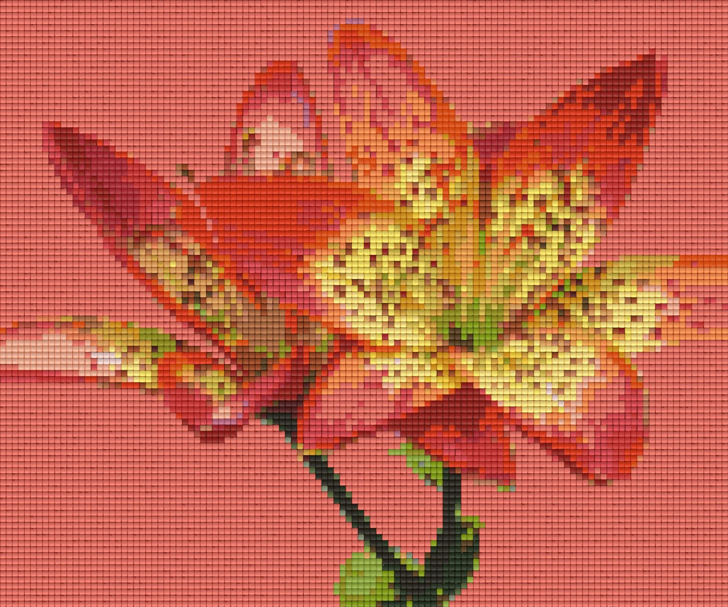 Pixelhobby Klassik Set - Tiger Lilie