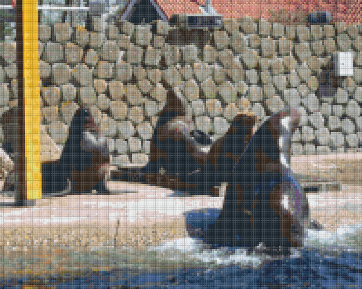 Pixel hobby classic set - sea lions