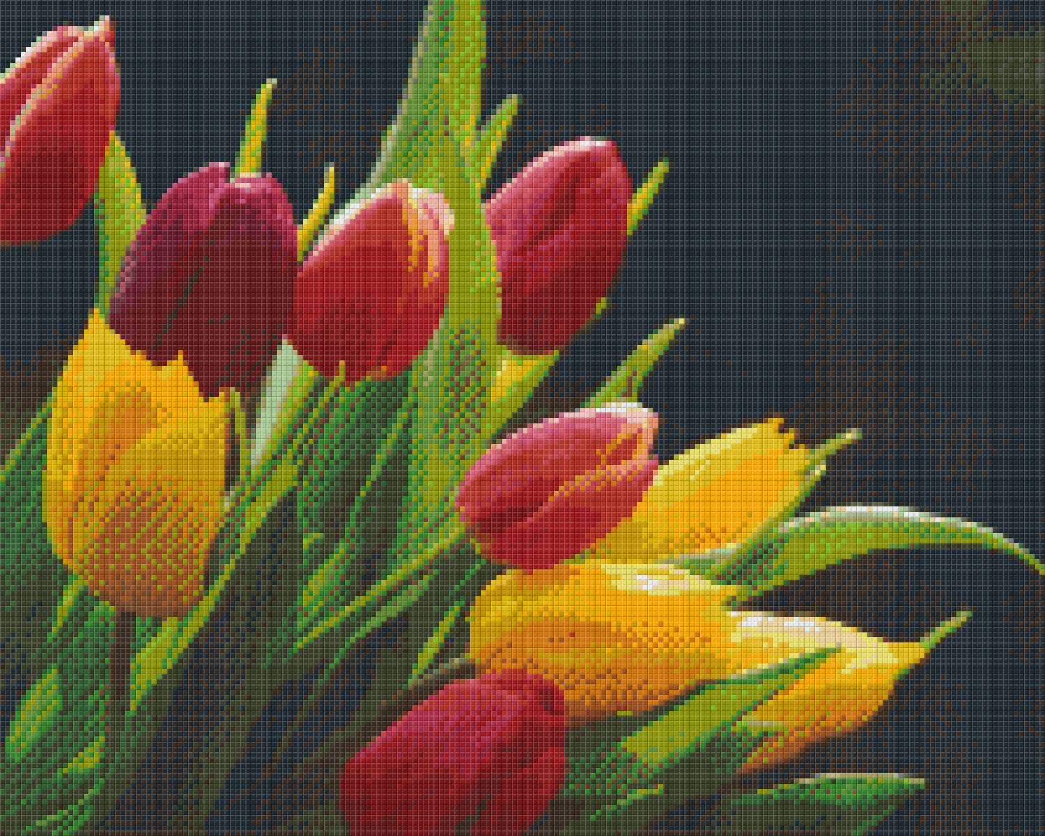 Pixelhobby Klassik Vorlage - Tulpen