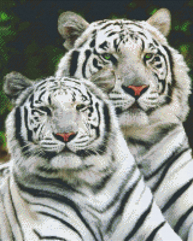 Pixelhobby Classic Set - Two white tigers
