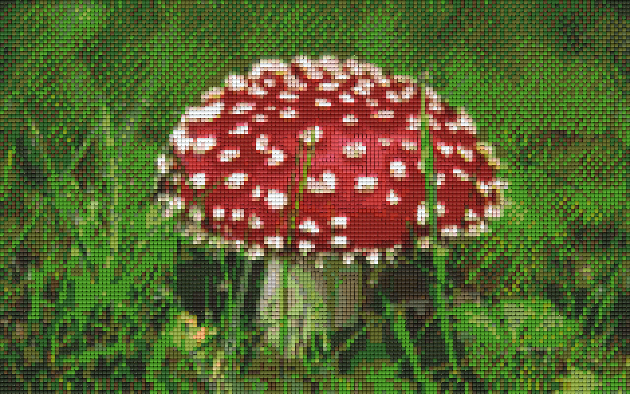 Pixelhobby Klassik Set - Fliegenpilz