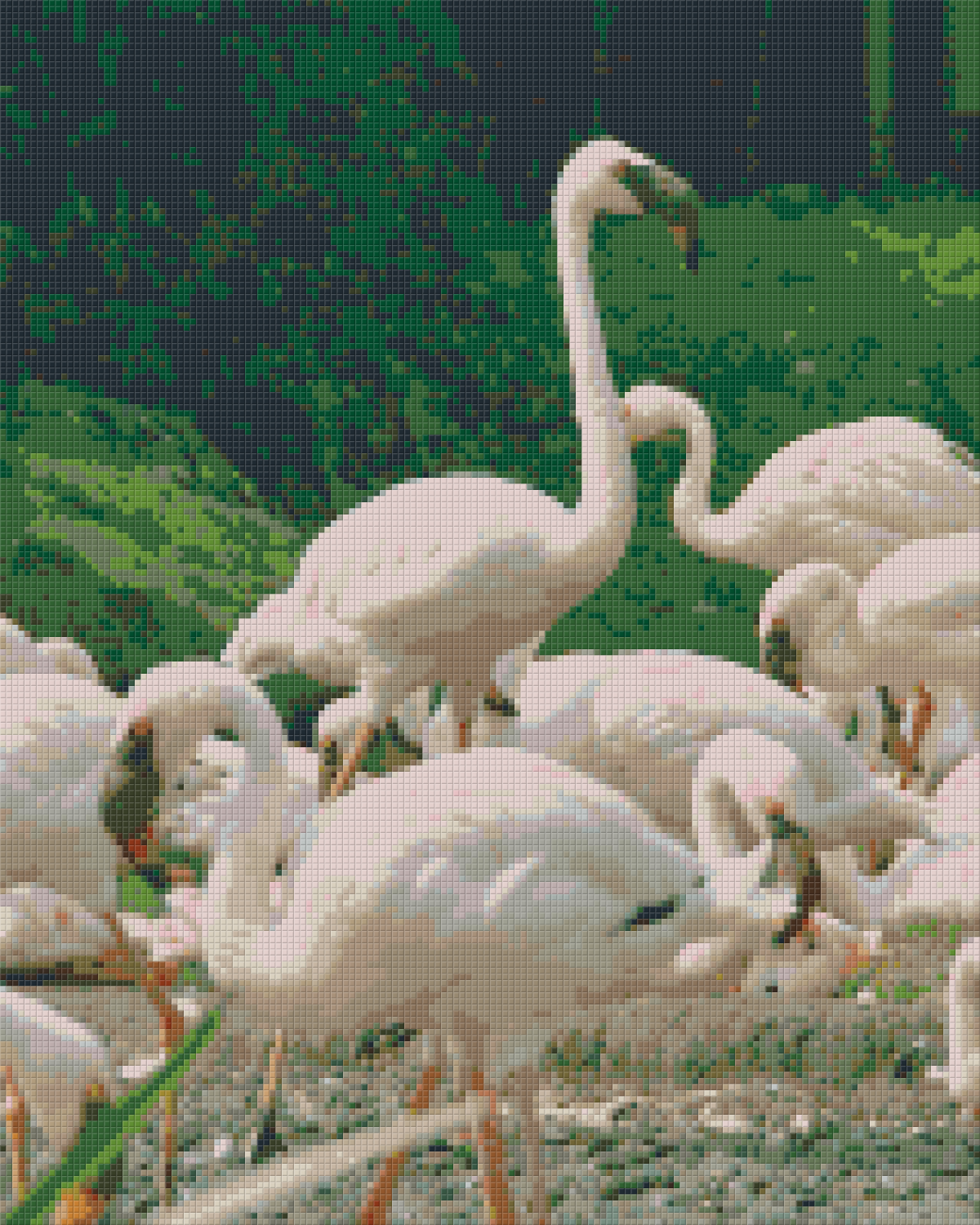 Pixelhobby Klassik Vorlage - Flamingos