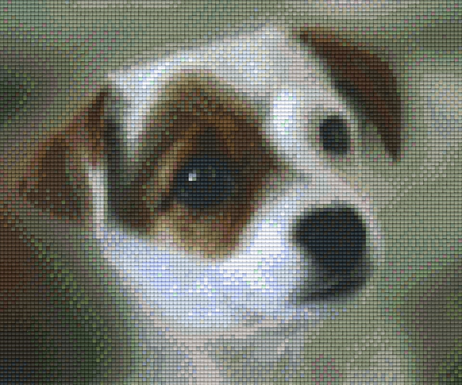 Pixelhobby Klassik Vorlage - Jack Russel Welpen