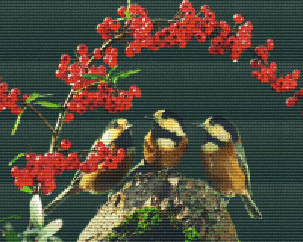 Pixelhobby Classic Set - Three little birds