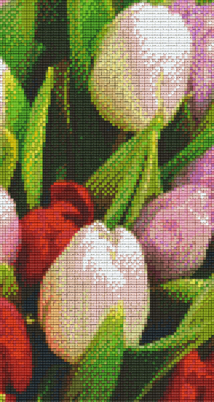 Pixelhobby Klassik Set - Tulpen