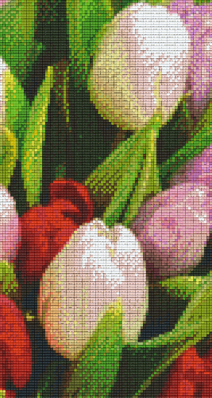 Pixelhobby Klassik Vorlage - Tulpen