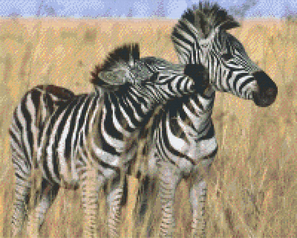 Pixelhobby Klassik Vorlage - Zebras in Afrika