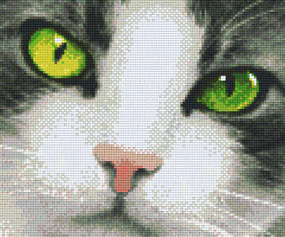 Pixelhobby Klassik Vorlage - Katze mit grünen Augen