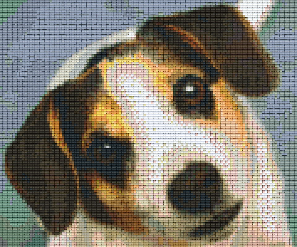 Pixelhobby Klassik Set - Hund