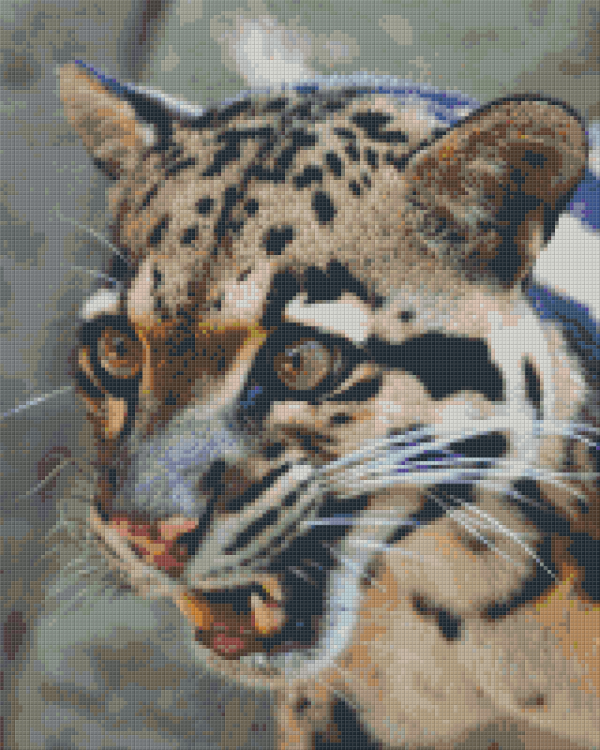 Pixel hobby classic set - panther