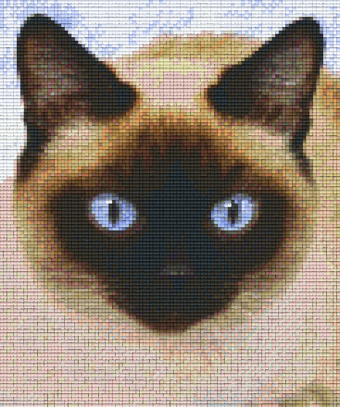 Pixelhobby Klassik Vorlage - Siamesiasche Katze