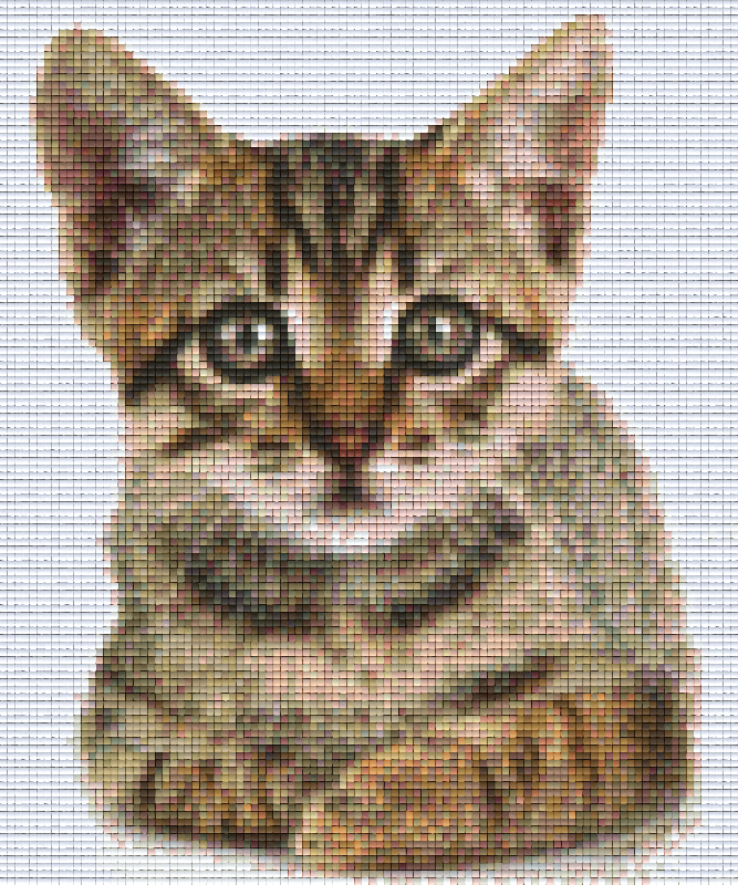 Pixel hobby classic set - cat