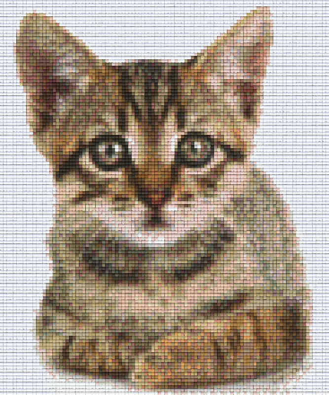 Pixelhobby Klassik Vorlage - Katze