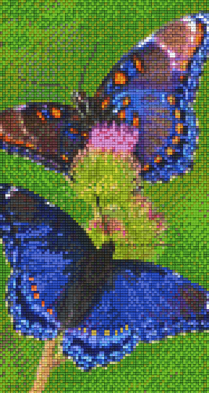 Pixelhobby Klassik Vorlage - Schmetterlinge
