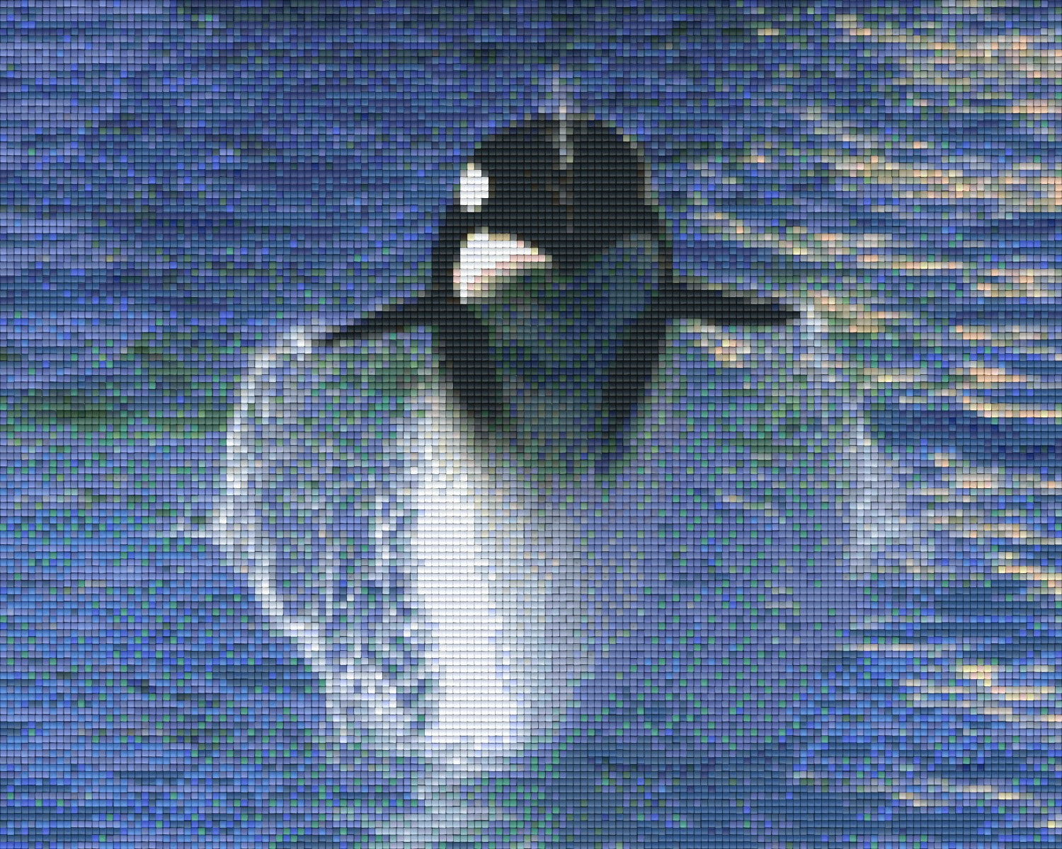 Pixelhobby Classic Set - Whale