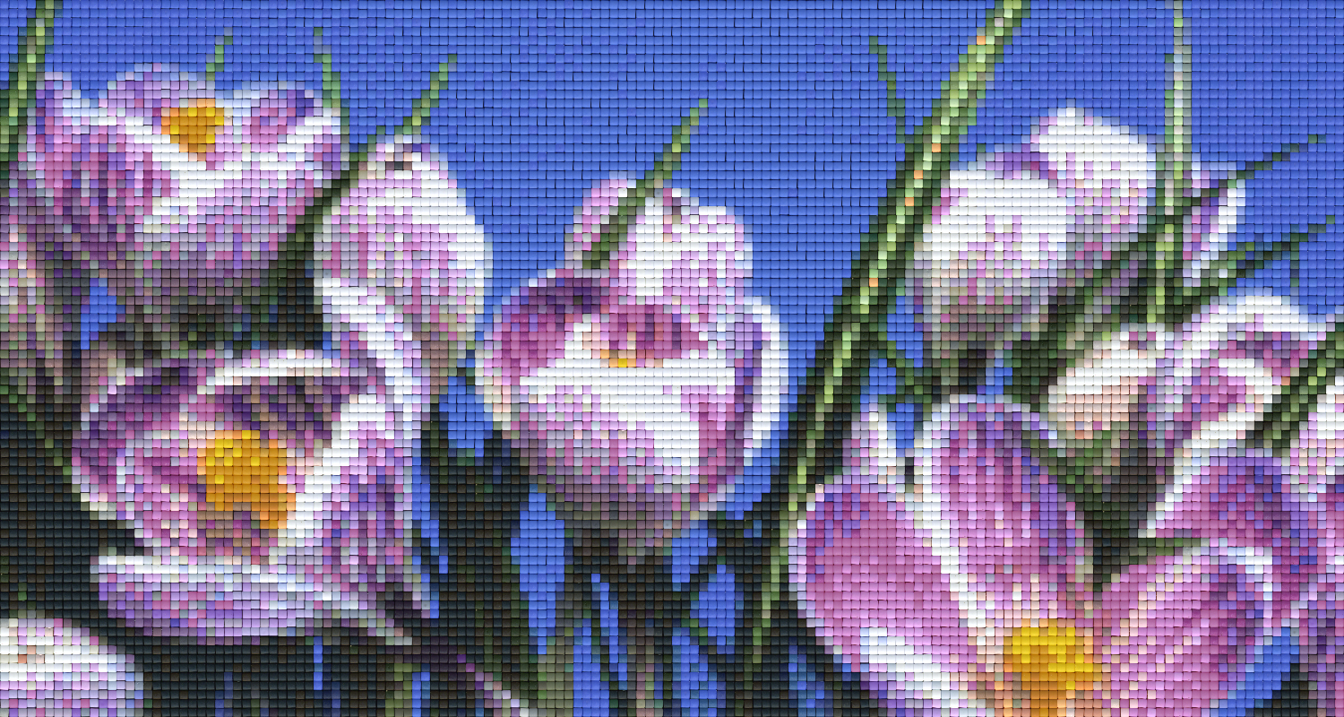 Pixelhobby Klassik Set - Narzissen