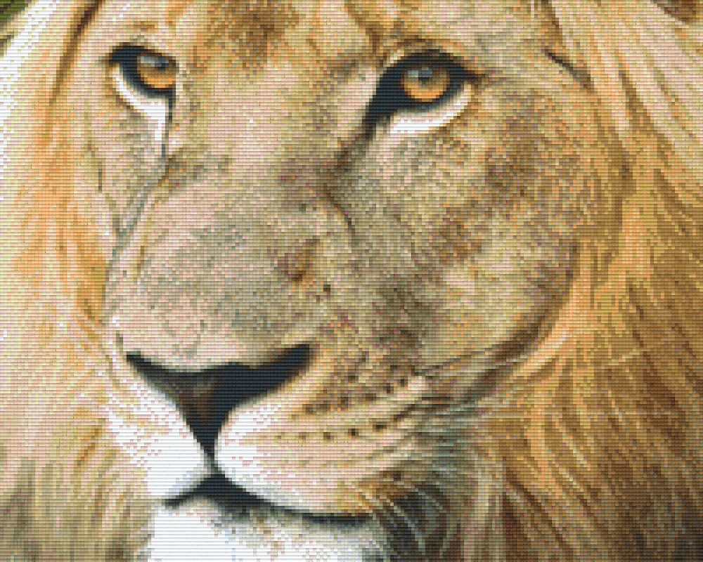 Pixel hobby classic set - lion