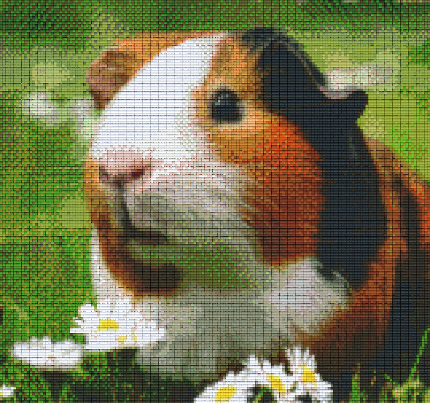 Pixelhobby Klassik Set - Meerschweinchen