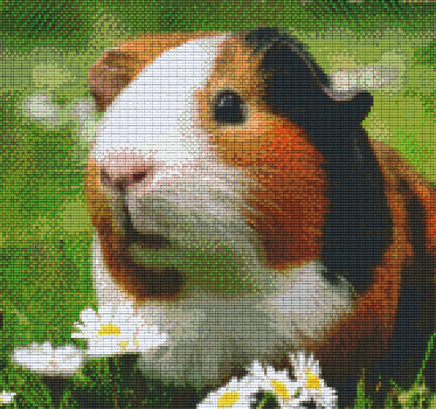 Pixelhobby Klassik Vorlage - Meerschweinchen