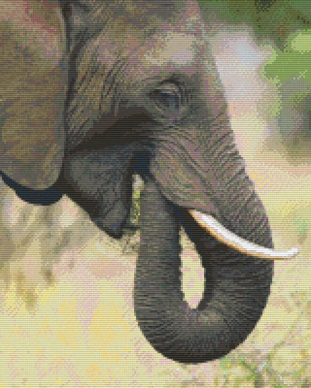 Pixelhobby Klassik Vorlage - Elefant