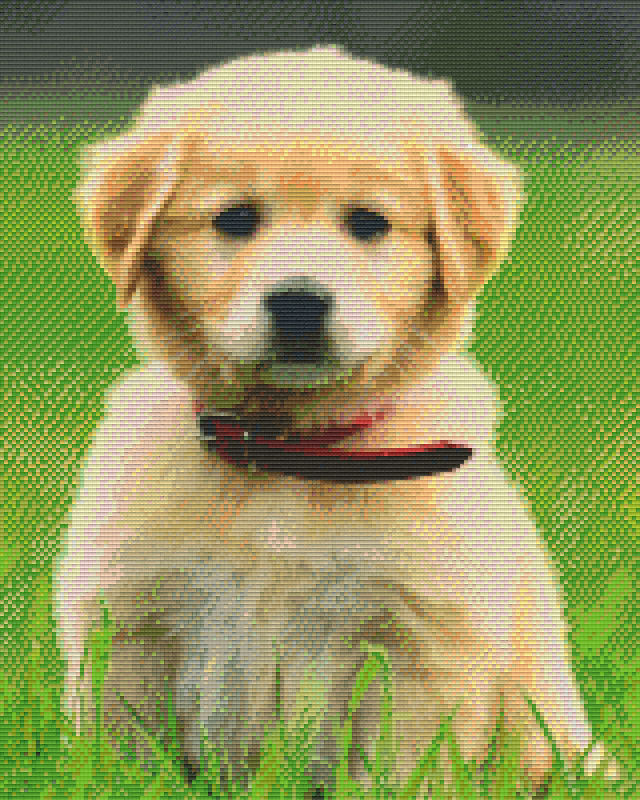 Pixelhobby Klassik Set - Golden Retriever Welpe