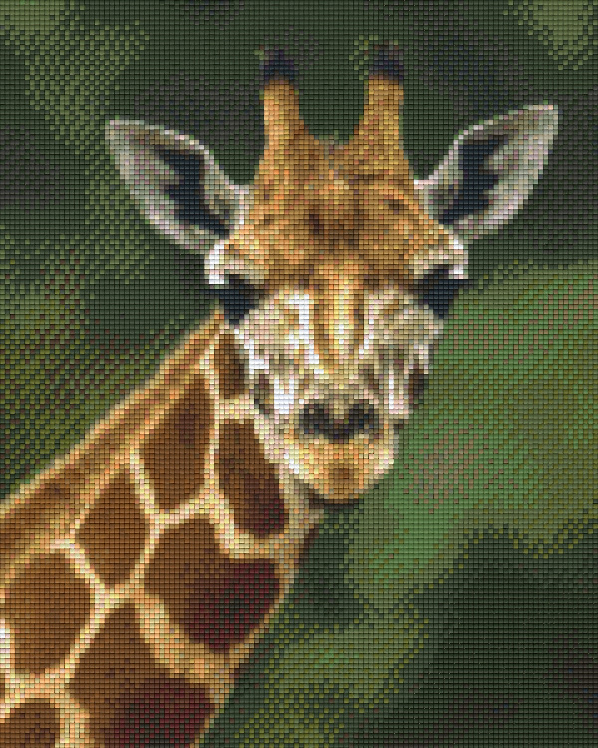 Pixelhobby Klassik Set - Giraffe