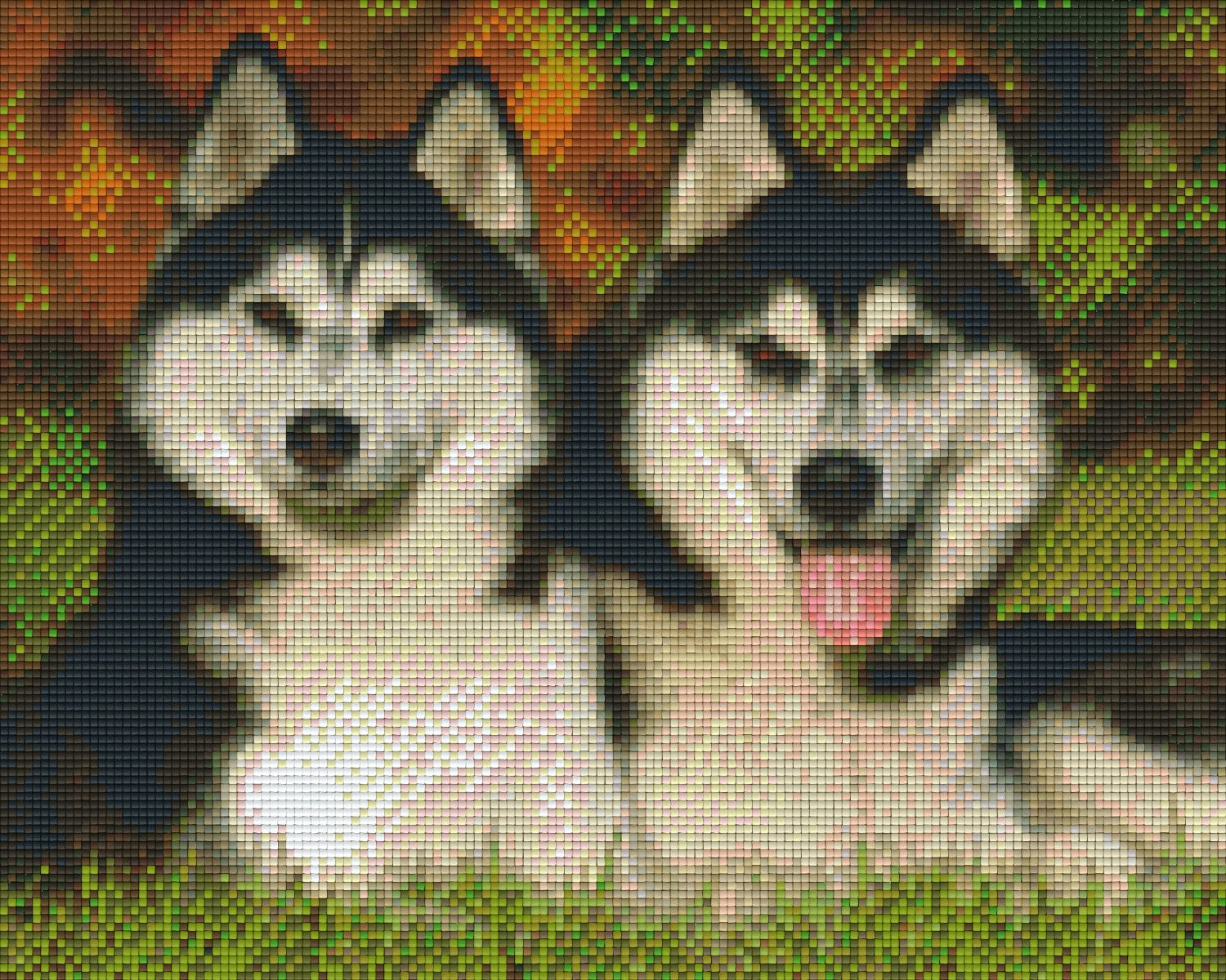 Pixelhobby Classic Set - Two Huskies