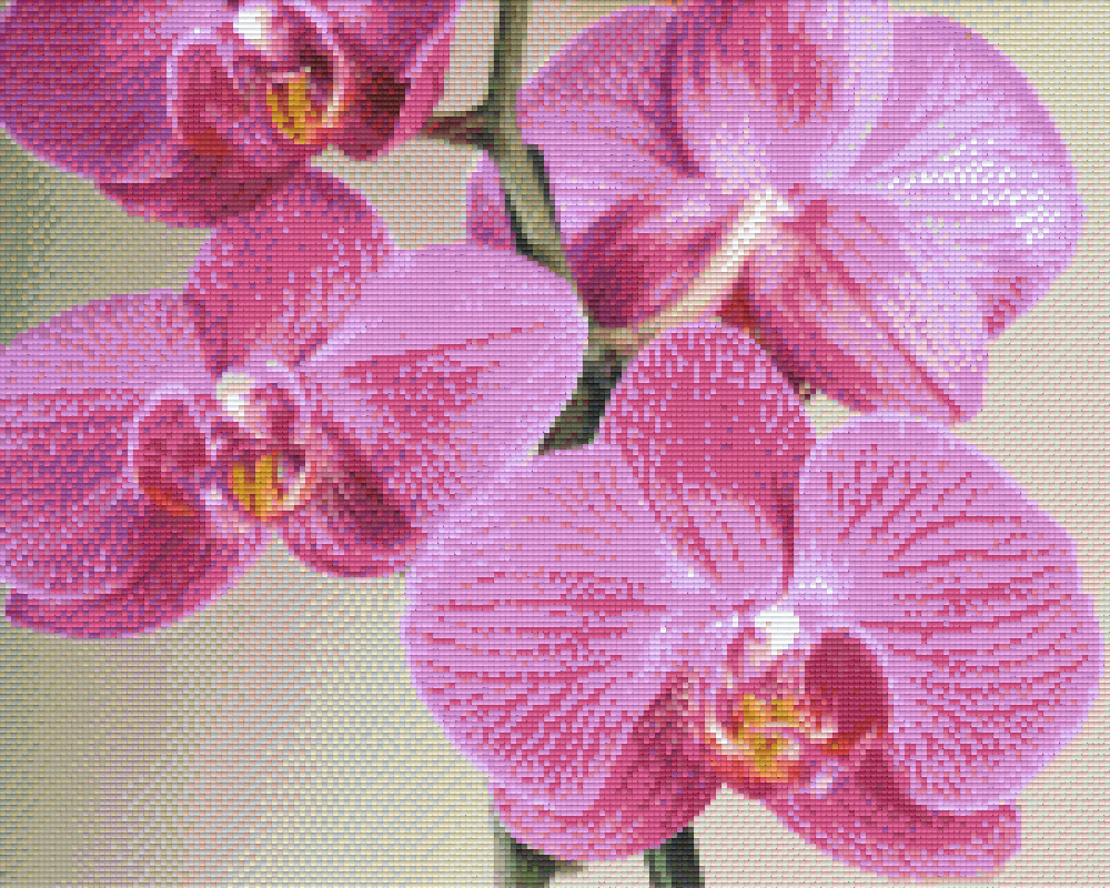 Pixelhobby Klassik Vorlage - Orchidee