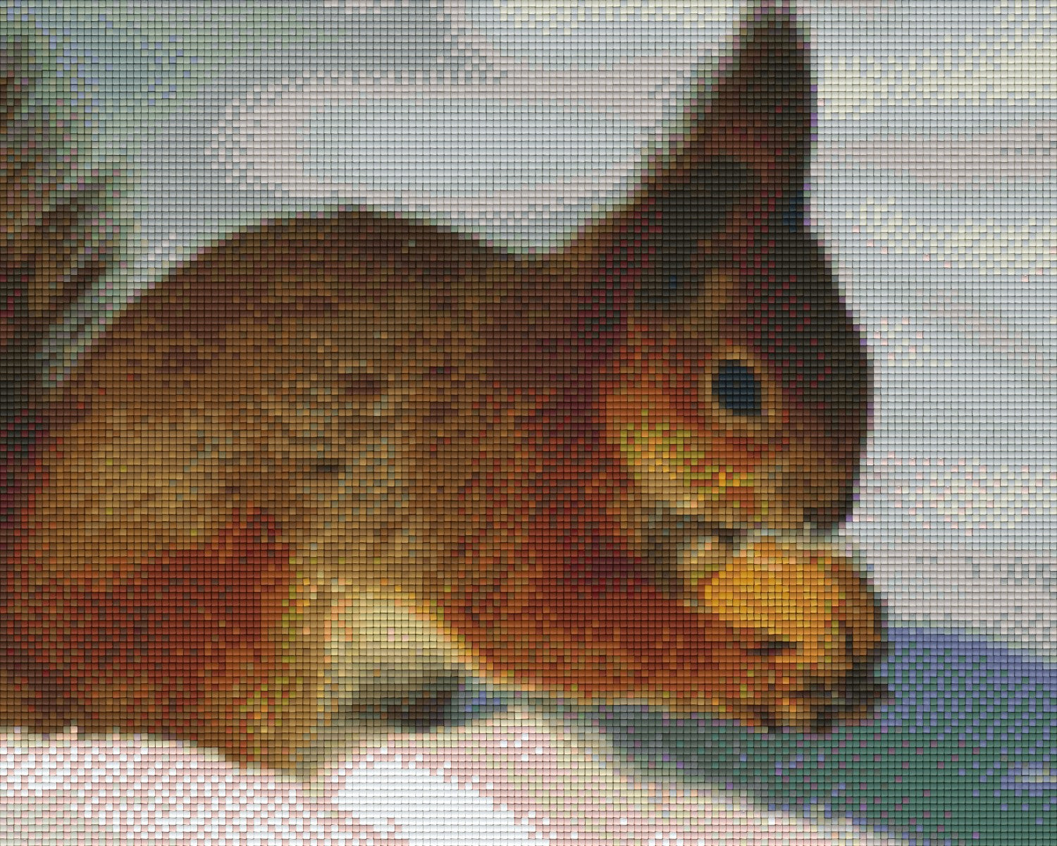Pixelhobby Klassik Vorlage - Eichhörnchen mit Nuss