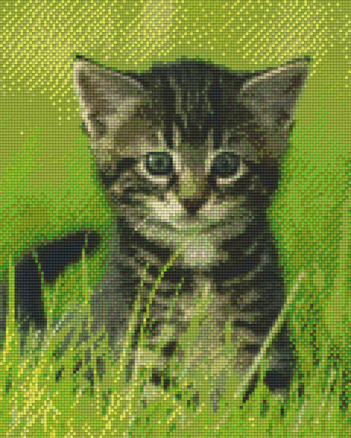 Pixelhobby Klassik Vorlage - Graues Kätzchen