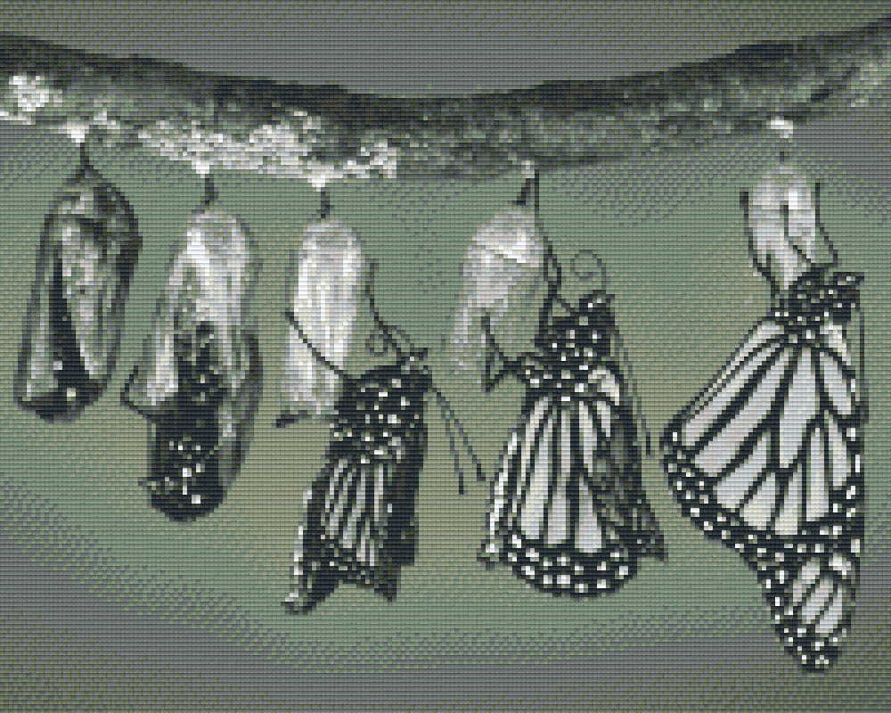 Pixelhobby classic set - butterfly hatches b/w