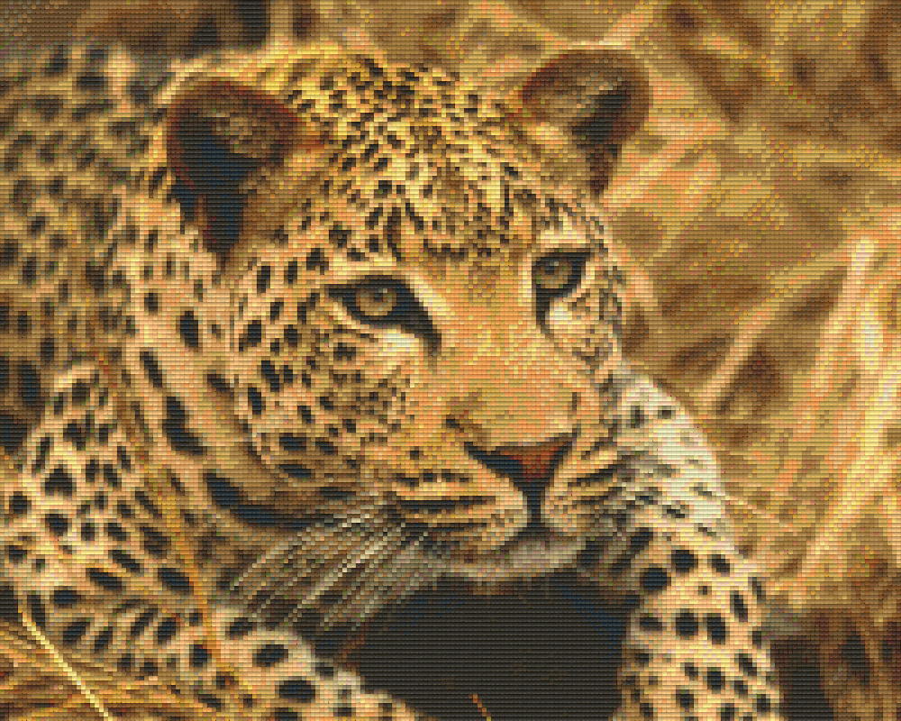 Pixel Hobby Classic Set - Leopard