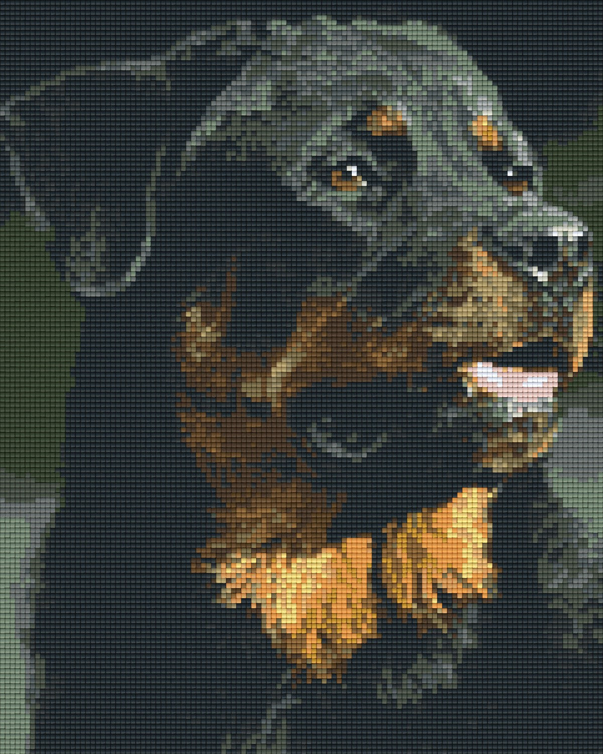 Pixelhobby Klassik Vorlage - Rottweiler