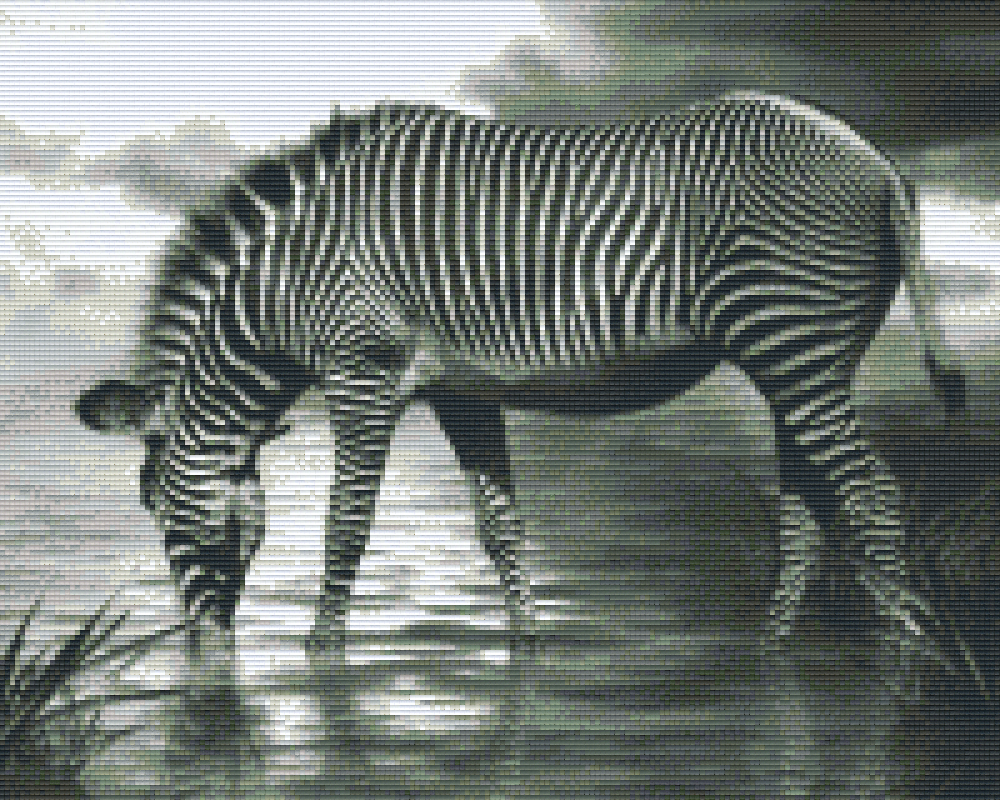 Pixelhobby Klassik Vorlage - Zebra s/w