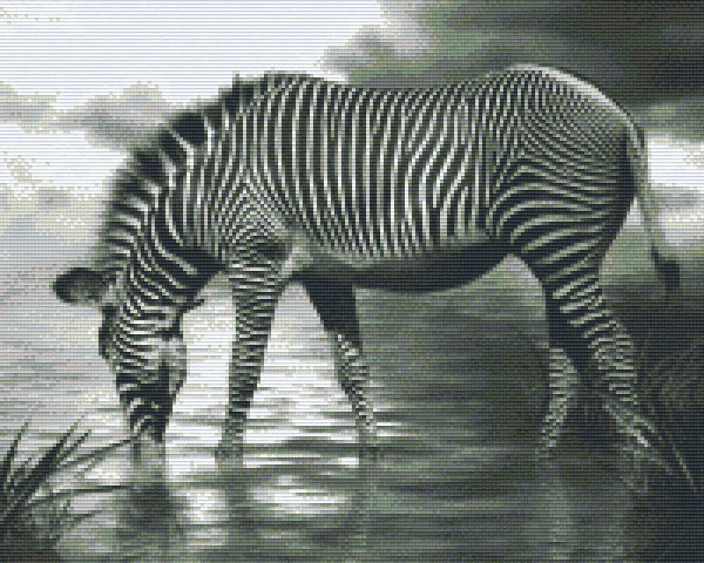 Pixelhobby Classic Set - Zebra b/w