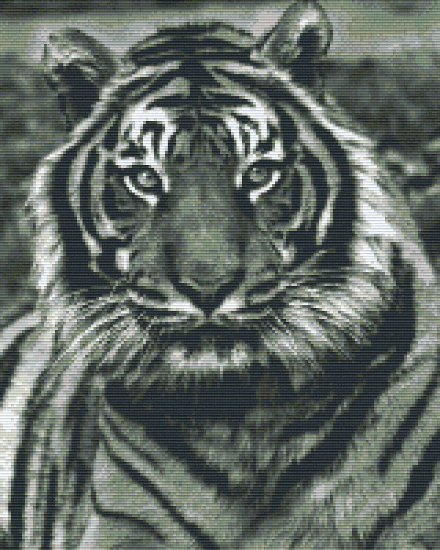 Pixelhobby Classic Set - Tiger b/w