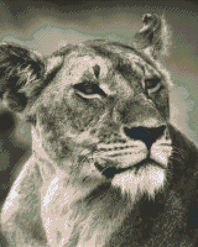 Pixelhobby Classic Set - Lioness b/w