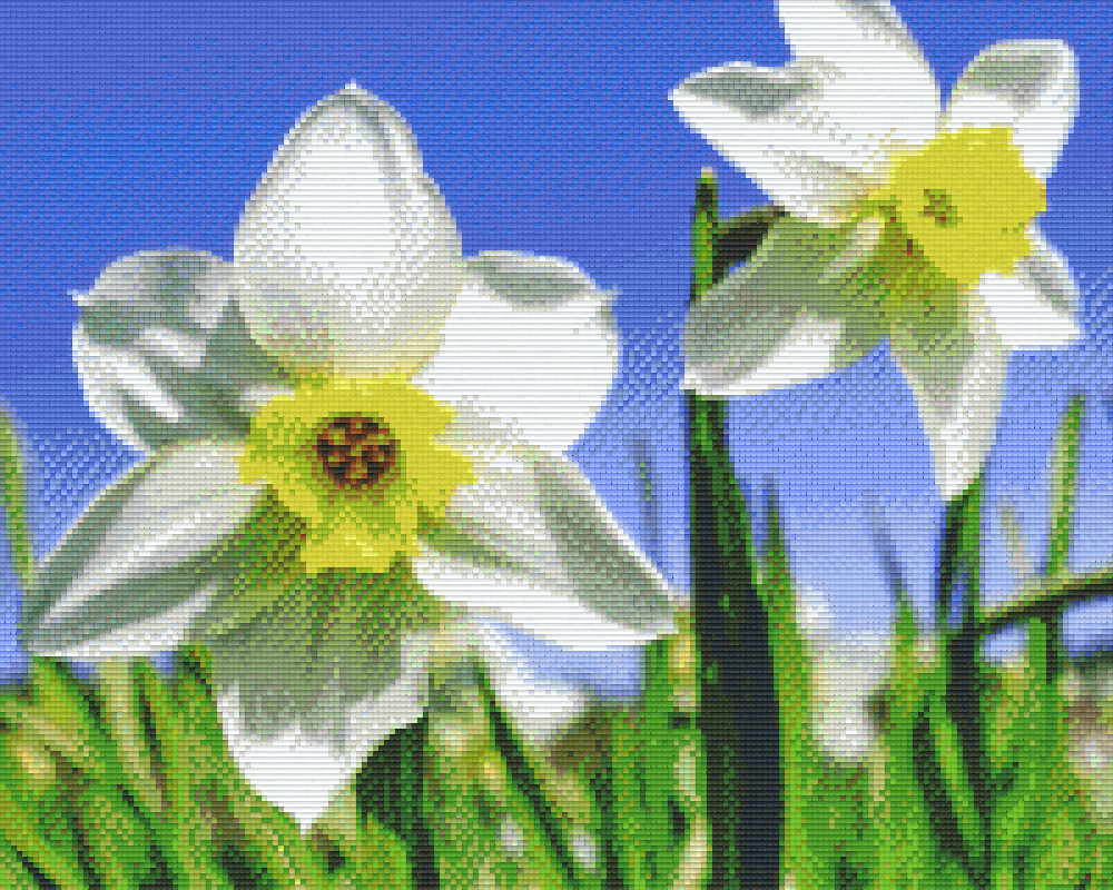 Pixelhobby classic set - daffodils