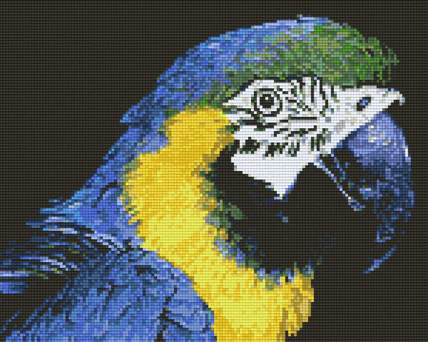Pixel hobby classic set - parrot