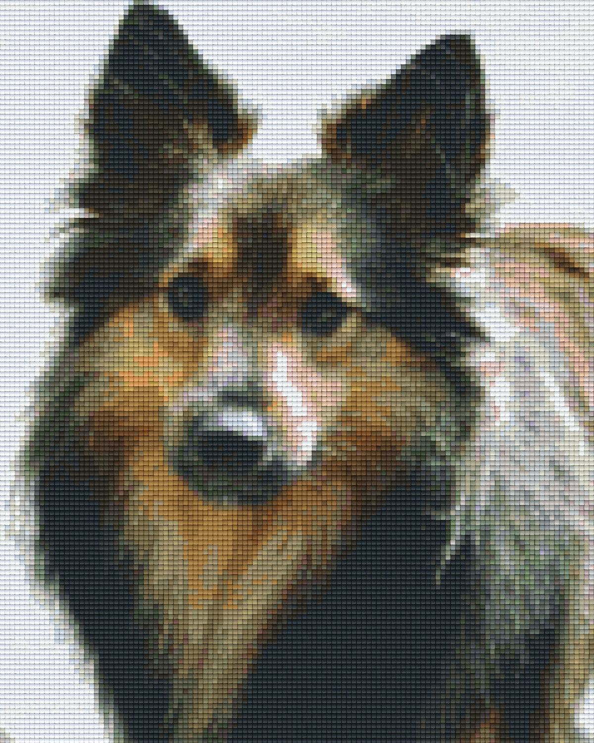 Pixelhobby Classic Set - Shetland Puppy
