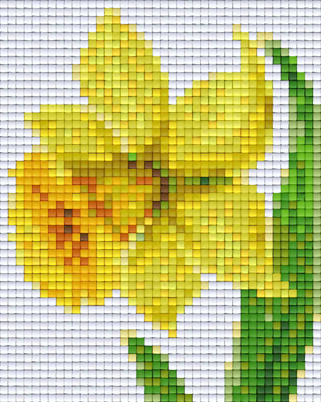 Pixel hobby classic template - daffodil