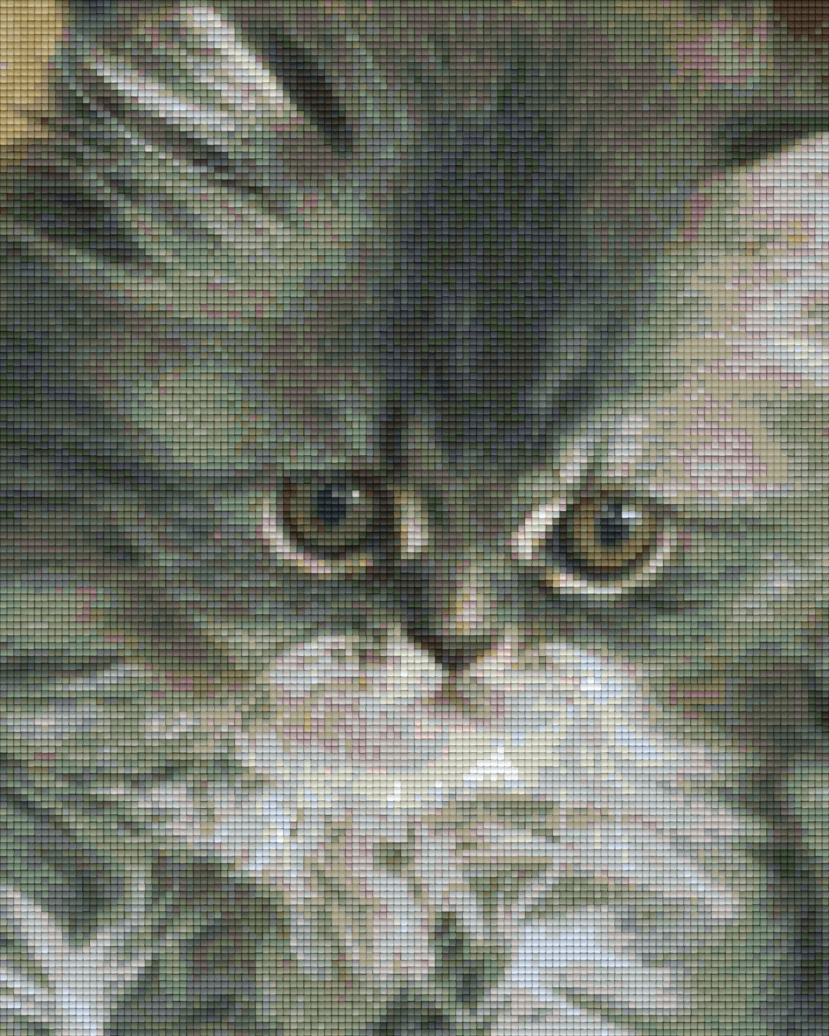 Pixel hobby classic set - kitten