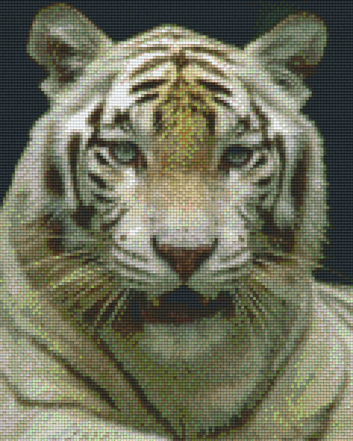 Pixelhobby Klassik Vorlage - Tiger