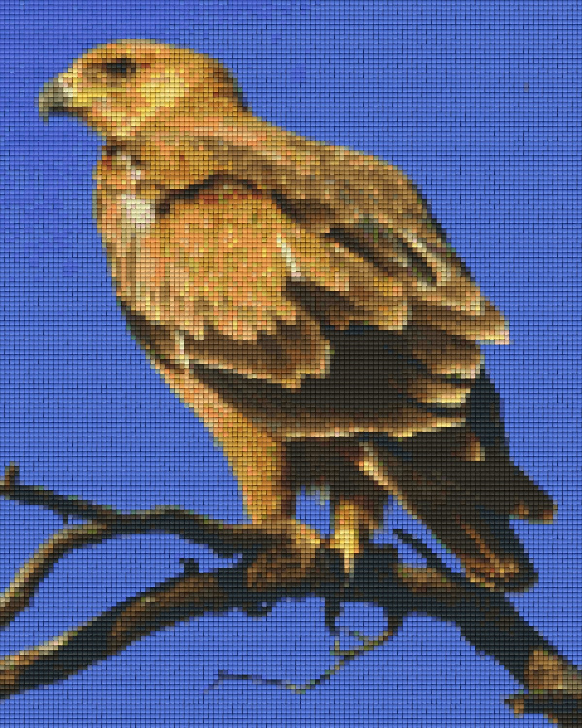Pixelhobby Classic Set - Tawny Eagle