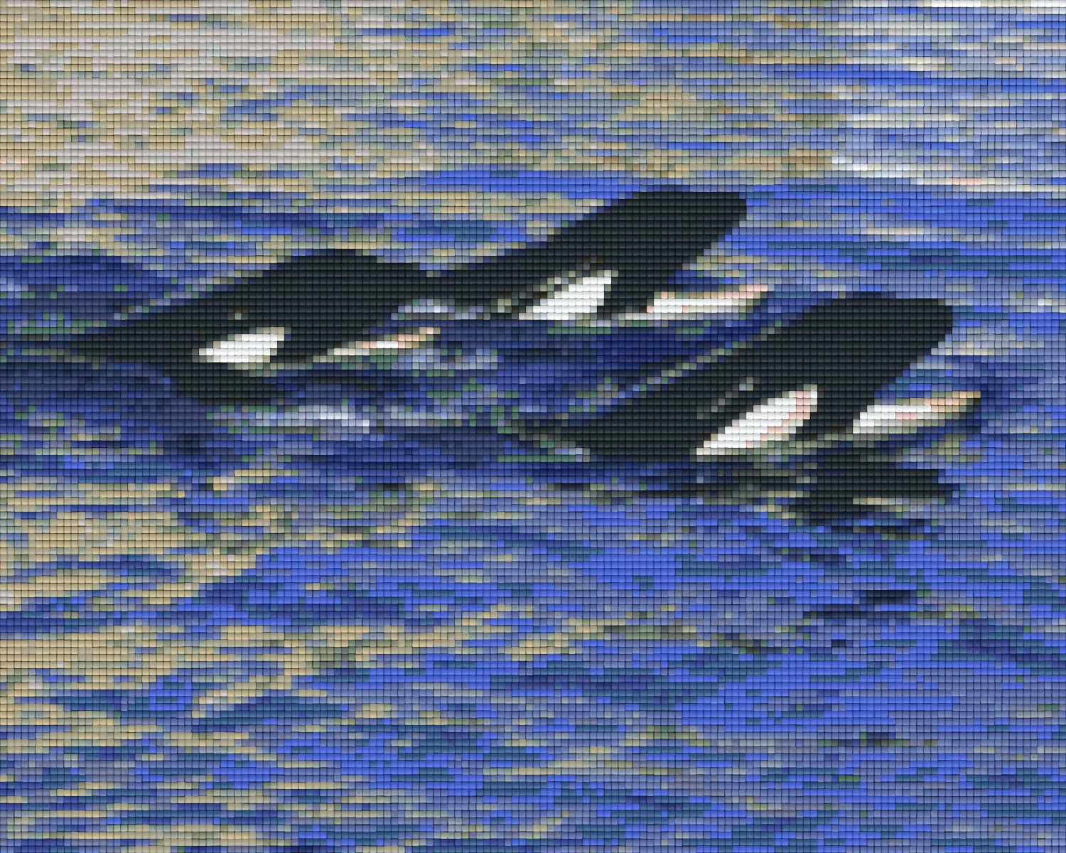 Pixelhobby Classic Set - Killer Whales