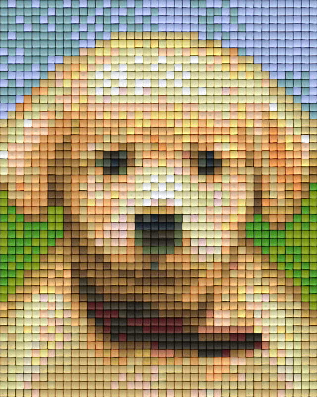 Pixel hobby classic set - puppy