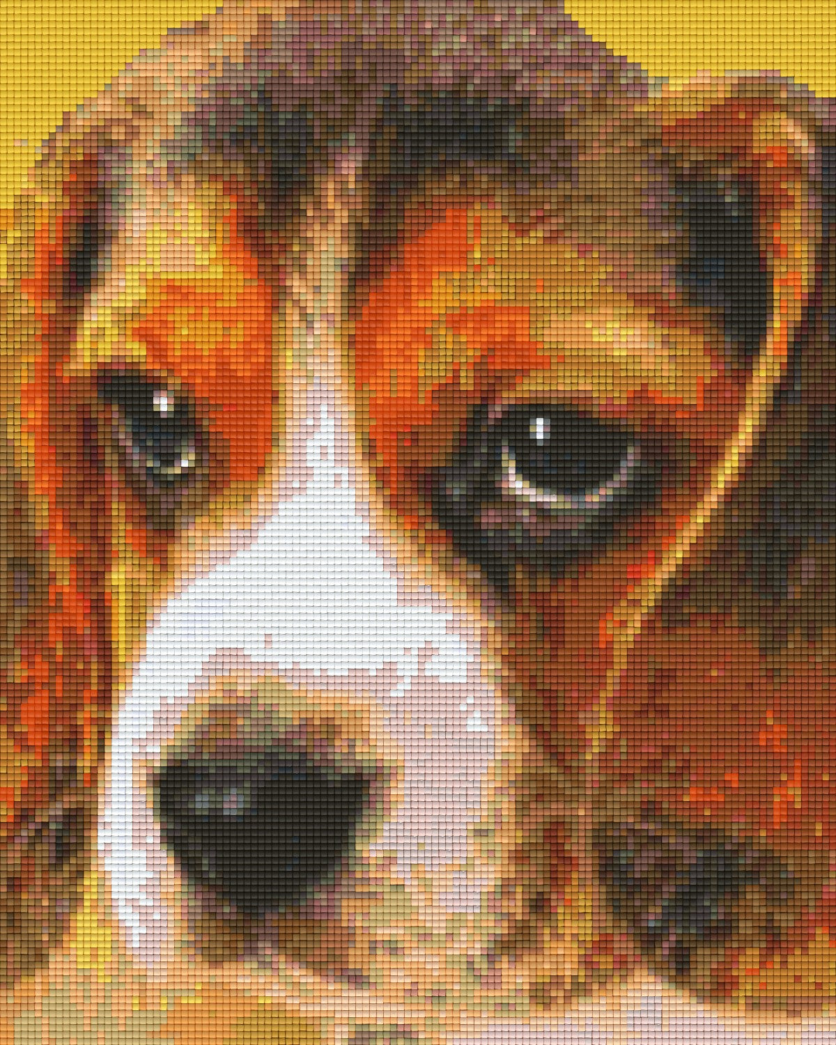 Pixel hobby classic set - dog