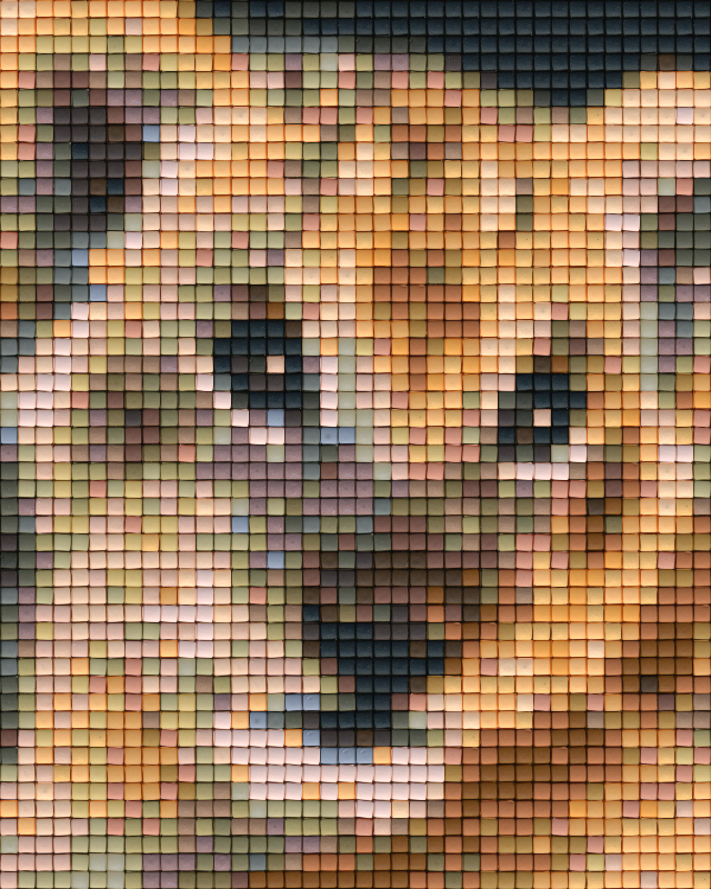 Pixel hobby classic template - tiger cub